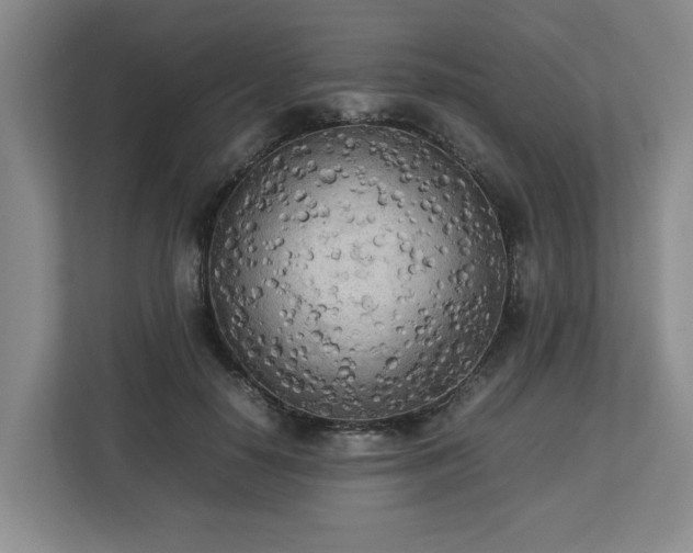 X0000112730650200908271429