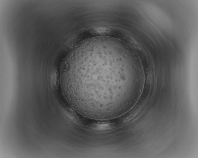 X0000112730651200908271429