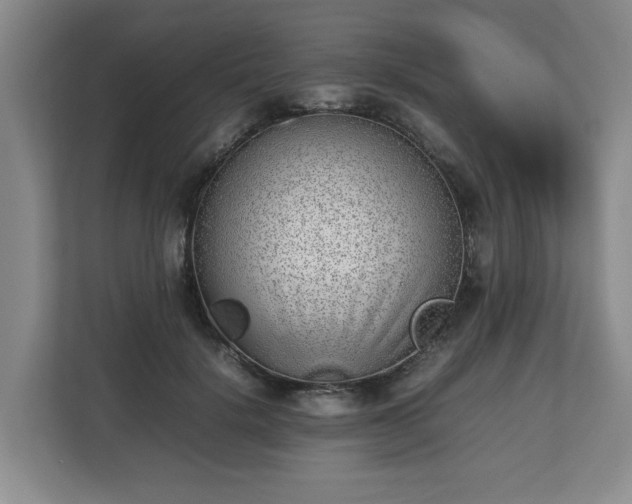 X0000112730652200908271429