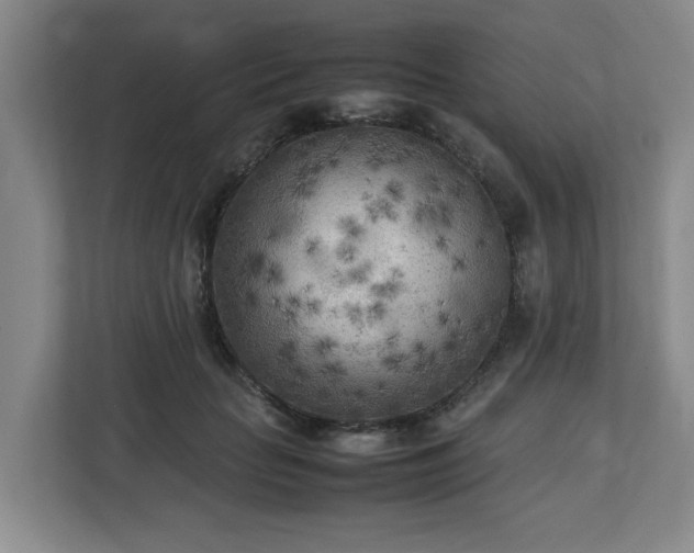 X0000112730653200908271429