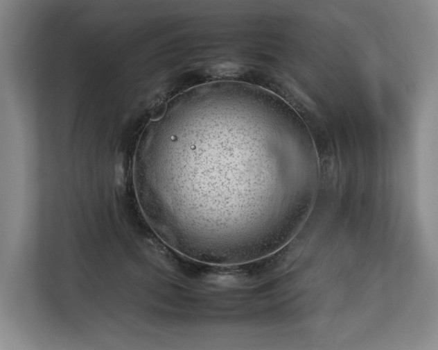 X0000112730655200908271429