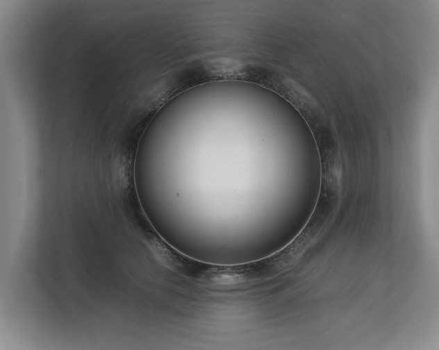 X0000112730658200908271429