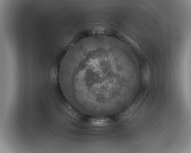 X0000112730661200908271429