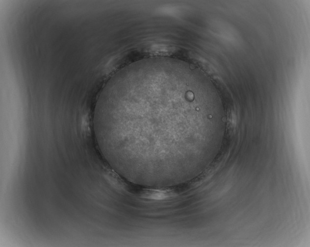 X0000112730663200908271429