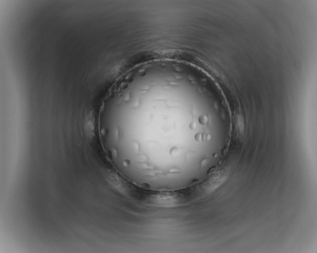 X0000112730668200908271429