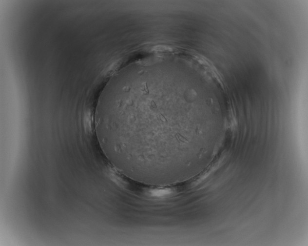 X0000112730669200908271429