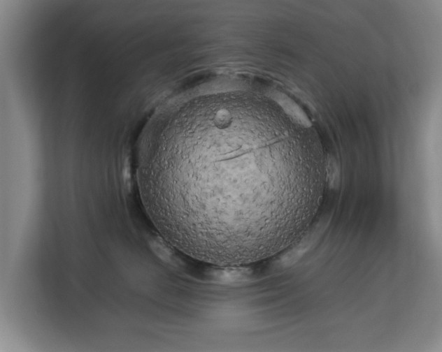 X0000112730670200908271429