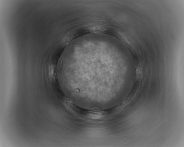 X0000112730671200908271429