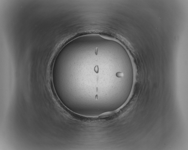 X0000112730673200908271429