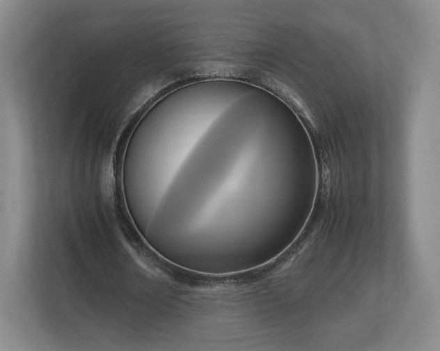 X0000112730674200908271429