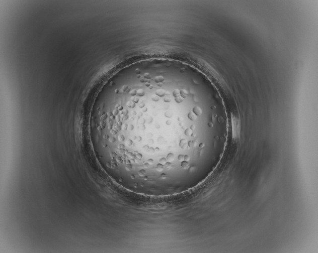 X0000112730675200908271429