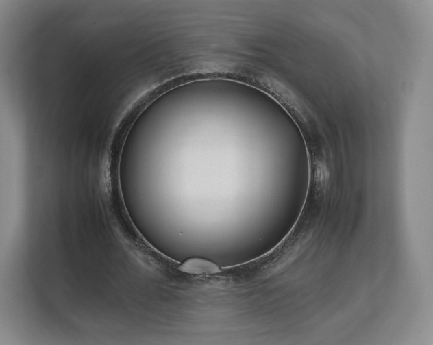 X0000112730676200908271429