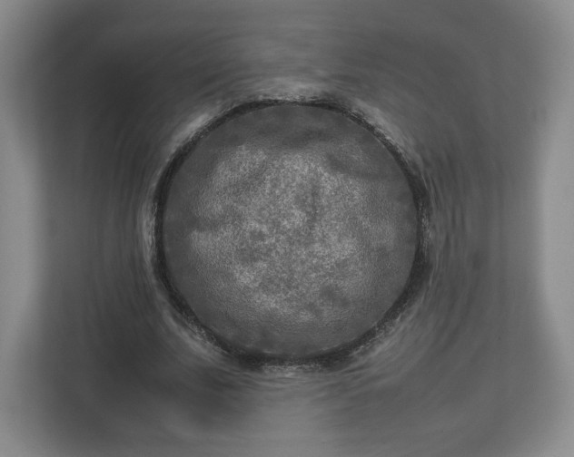 X0000112730679200908271429