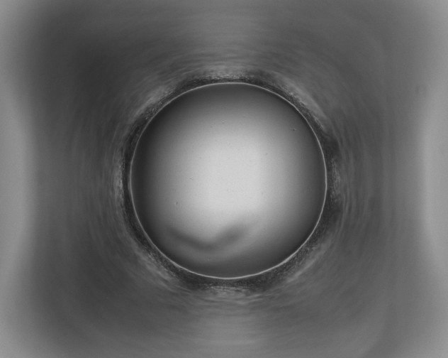 X0000112730681200908271429