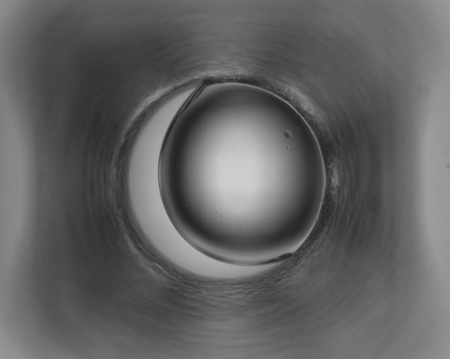 X0000112730684200908271429