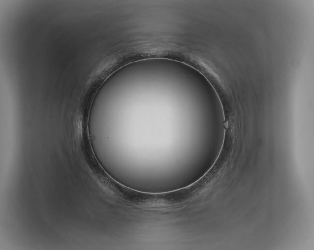 X0000112730685200908271429