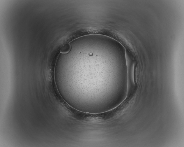 X0000112730689200908271428