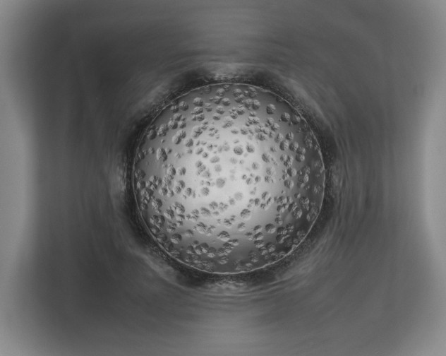 X0000112730691200908271428