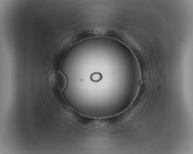 X0000112730697200908271428