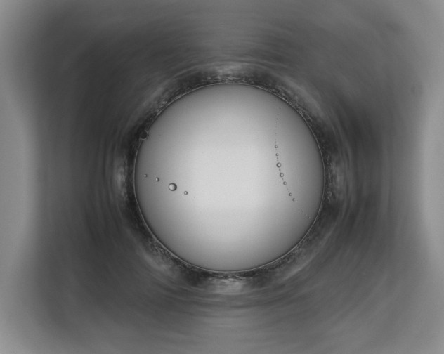 X0000112730698200908271428