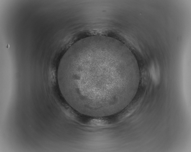 X0000112730699200908271428