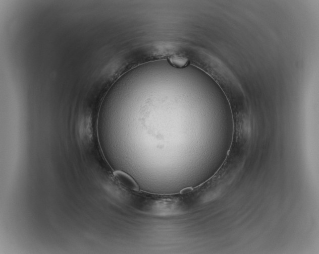 X0000112730700200908271428