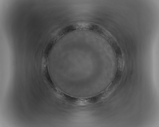 X0000112730701200908271428