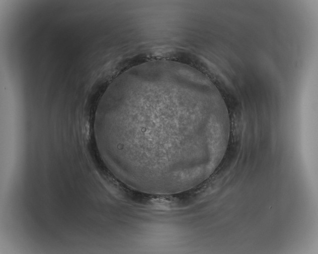 X0000112730703200908271428