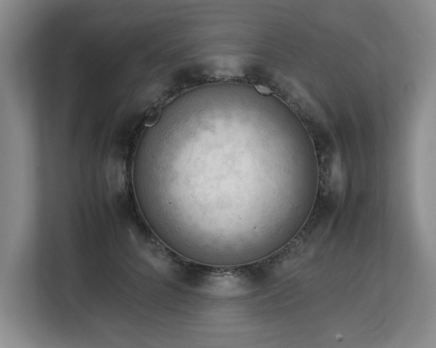 X0000112730704200908271428