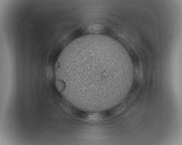 X0000112730705200908271428