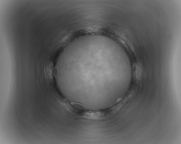 X0000112730712200908271428