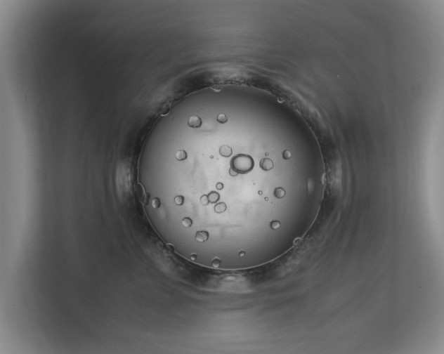 X0000112730715200908271428