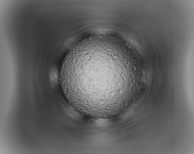 X0000112730718200908271428