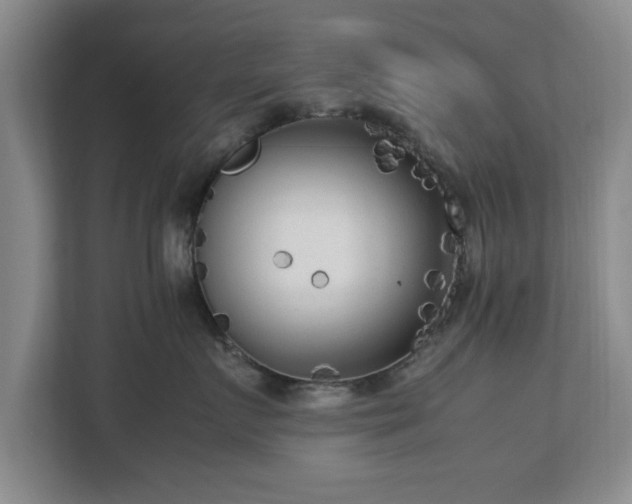 X0000112730719200908271428