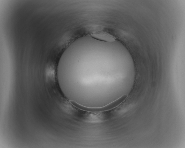 X0000112730720200908271428