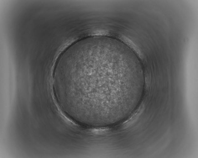 X0000112730721200908271427