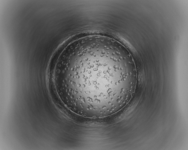 X0000112730722200908271427