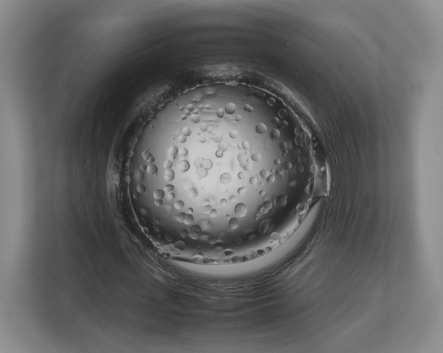 X0000112730723200908271427