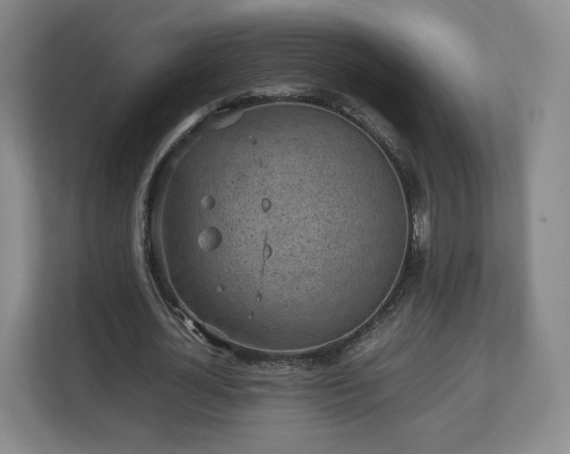 X0000112730724200908271427