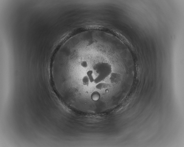 X0000112730729200908271428