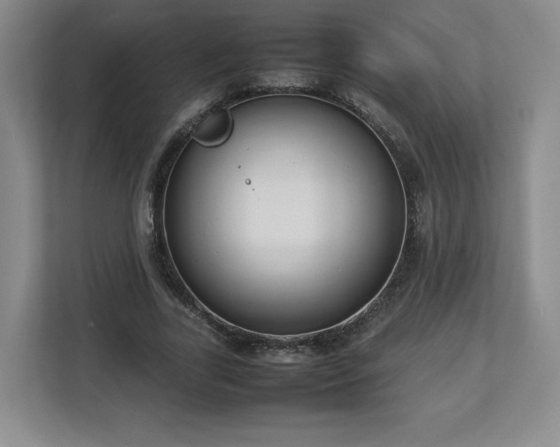 X0000112730731200908271428