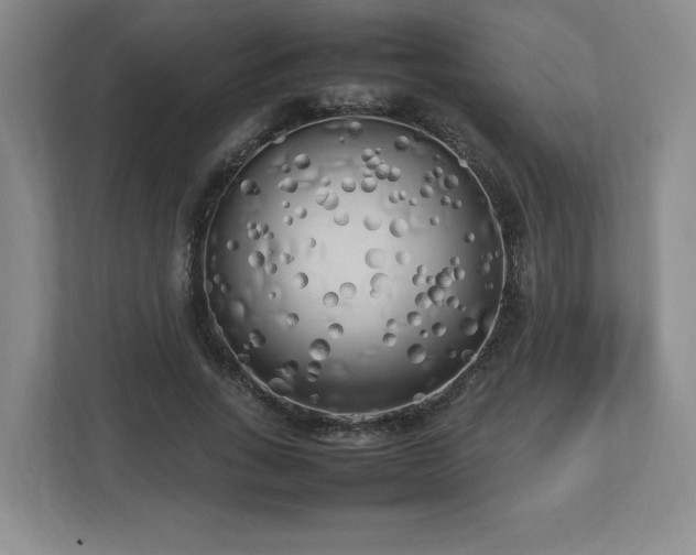 X0000112730735200908271428