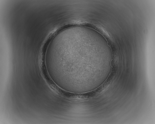 X0000112730736200908271428