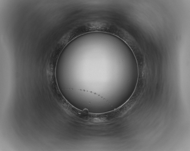 X0000112730737200908271428