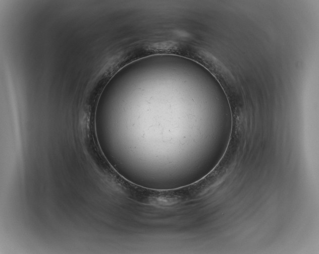 X0000112730739200908271428