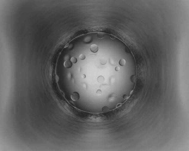 X0000112730742200908271428