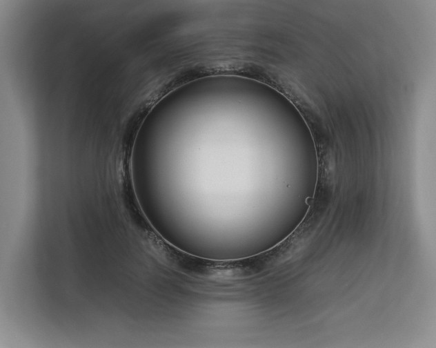 X0000112730746200908271428