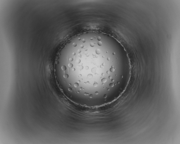 X0000112730747200908271428