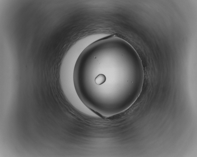 X0000112730752200908271428