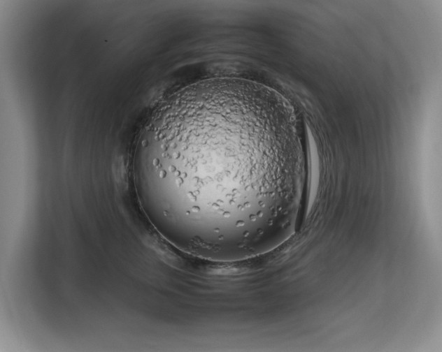 X0000112730759200908271428